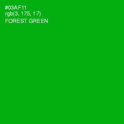 #03AF11 - Forest Green Color Image